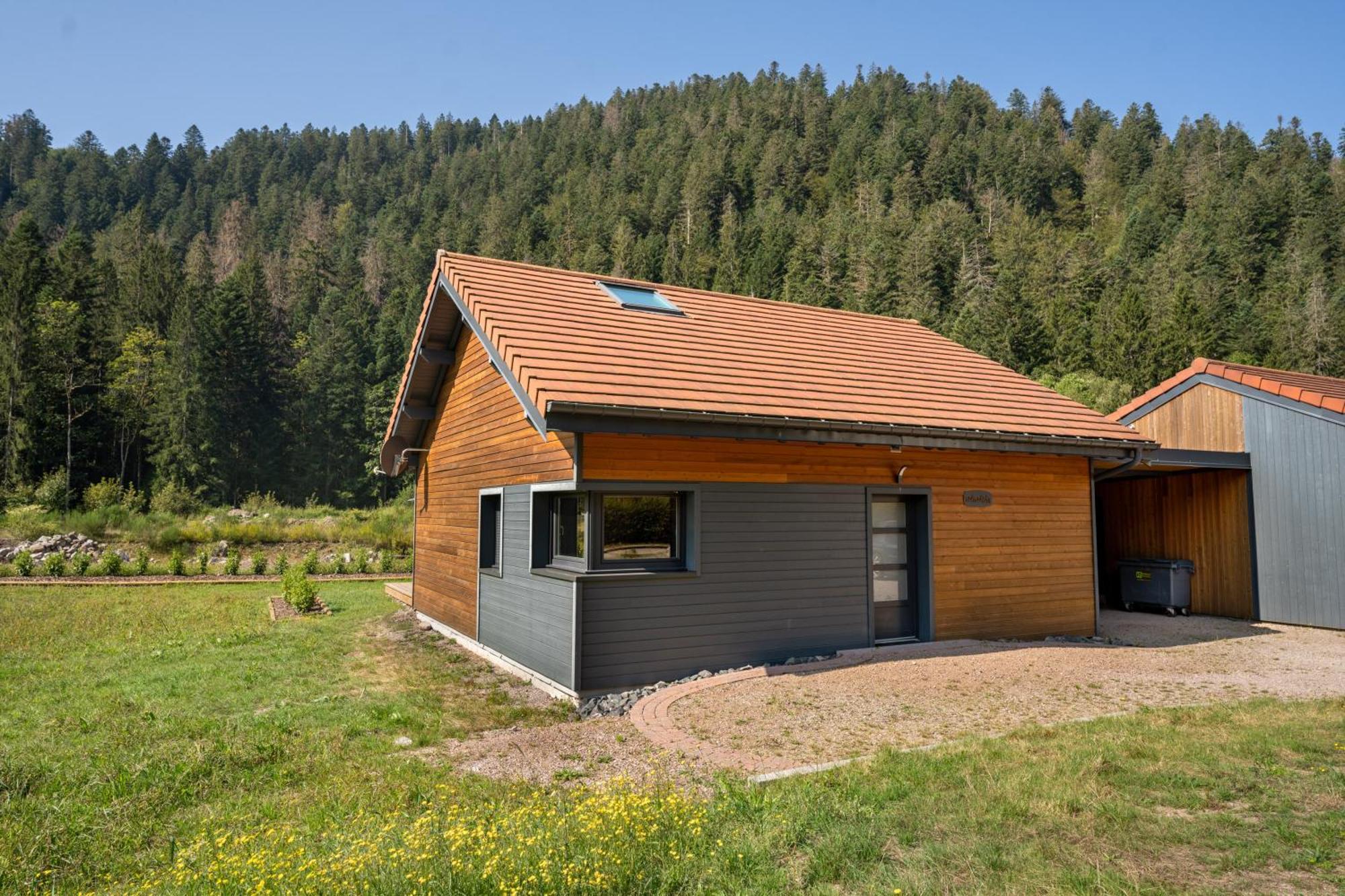 Chalet Nemesia Avec Spa A Gerardmer Villa Exterior photo